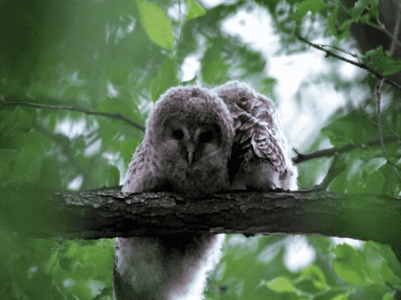 定州人民医院顺产费用（南京鼓楼试管日记）
